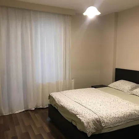 Demir House *